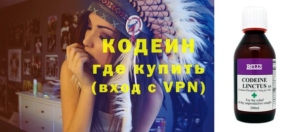 индика Верхний Тагил