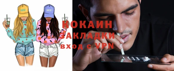 индика Верхний Тагил