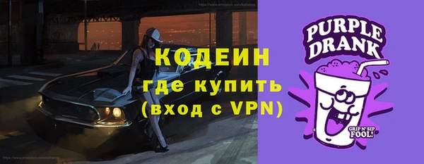 индика Верхний Тагил