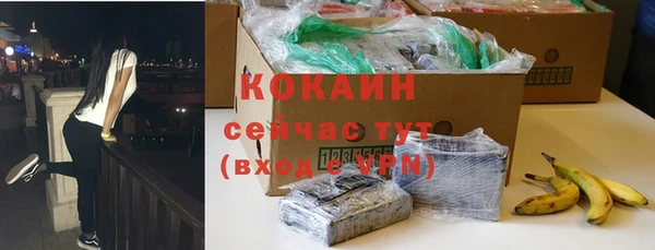 ПСИЛОЦИБИНОВЫЕ ГРИБЫ Верея