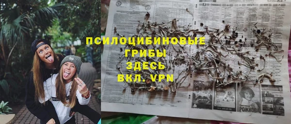 ПСИЛОЦИБИНОВЫЕ ГРИБЫ Верея