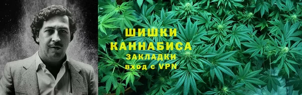 ПСИЛОЦИБИНОВЫЕ ГРИБЫ Верея