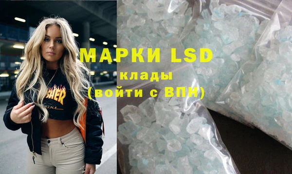 ПСИЛОЦИБИНОВЫЕ ГРИБЫ Верея