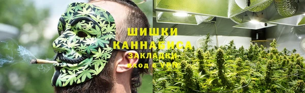 ПСИЛОЦИБИНОВЫЕ ГРИБЫ Верея