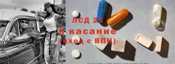 индика Верхний Тагил