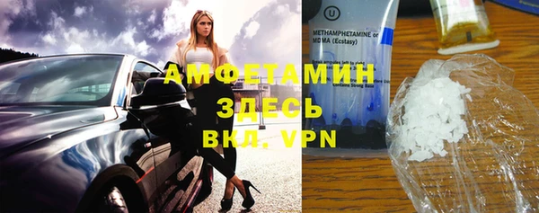 индика Верхний Тагил