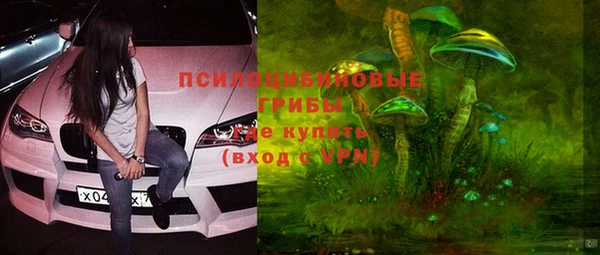 индика Верхний Тагил